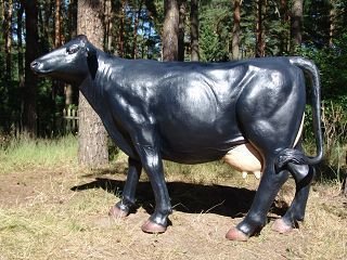 Kuh, "Angus", schwarz, 220cm