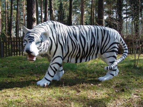 Tiger, weiß, "Shiva", 175cm
