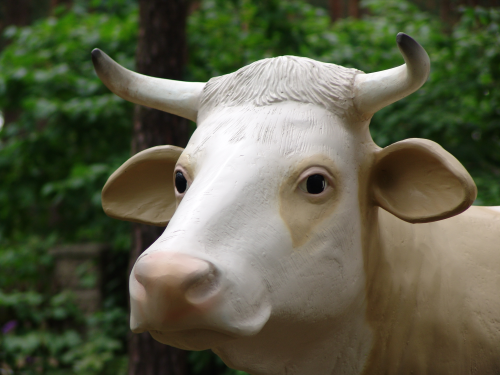 Kuh, "Hanni", Simmentaler Art, braun weiß, 220cm