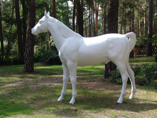 Pferd, "Chico", weiß, Araber, nicht belastbar, 230cm, HORSE