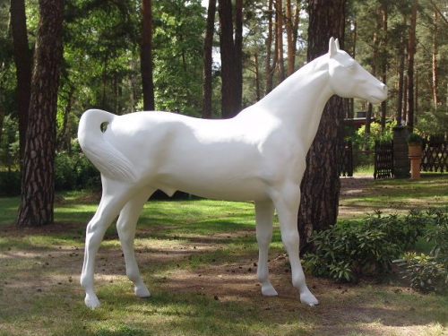 Pferd, "Chico", weiß, Araber, nicht belastbar, 230cm, HORSE