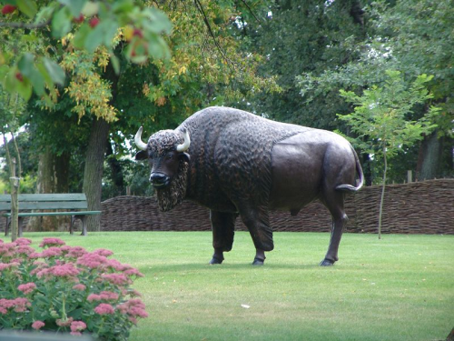 Büffel, Wisent, "Boris", 280cm