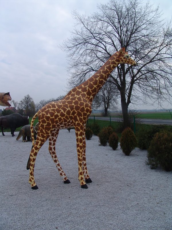 Giraffe, "Gwendolin", 320cm