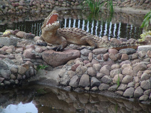 Krokodil, Aligator, "Schnappi", 180cm