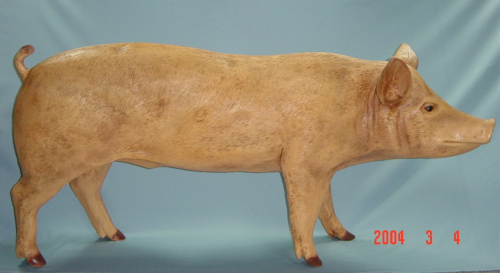 Schwein, "Rocco", Eber, 160cm