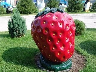 Obst, Erdbeere, 150cm