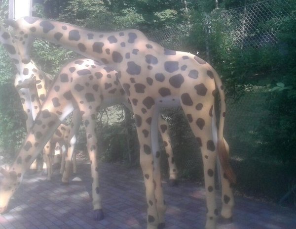 Giraffe " Gaby", 250cm