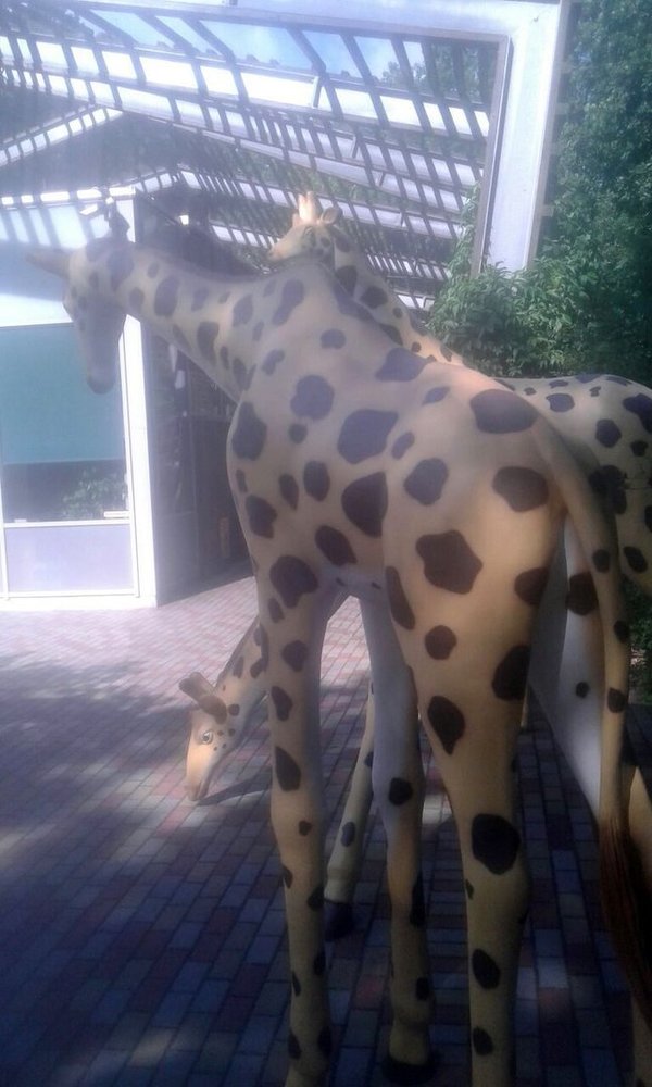 Giraffe " Gaby", 250cm