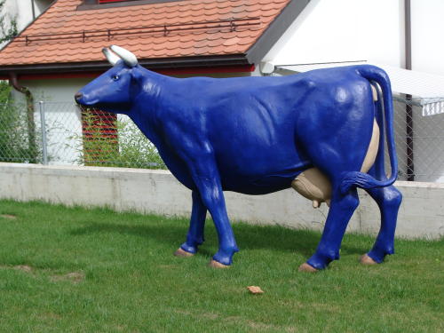 Kuh, Kuh in Blau, 220cm