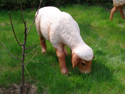Schaf, "Melinda", Kopf unten, 100cm