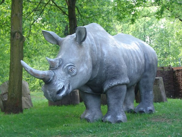 Nashorn, 340cm