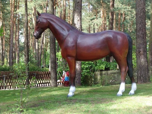 Pferd, "Alexos",  belastbar bis 100kg, 256cm, HORSE