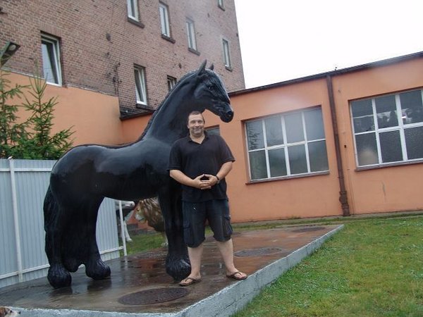 Pferd - Horse - Modell - Friese - nicht zum aufsitzen, HORSE