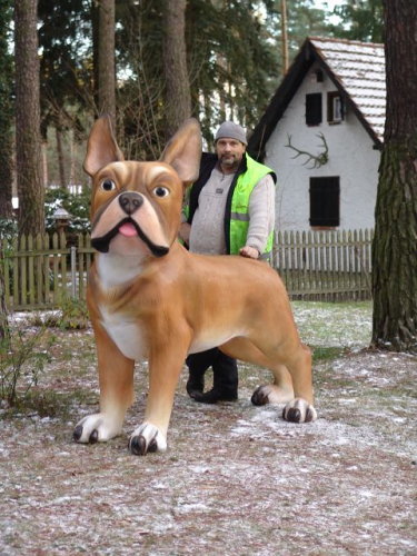 Hunde, Bulldogge french XXL, 178cm