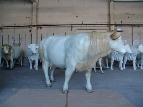 Kuh, "Charolais", lebensgroß, 260cm