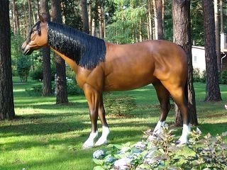 Pferd - Horse - Modell  - Titan - nicht zum aufsitzen, HORSE