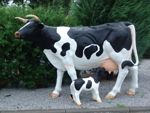 Kuh, "Helene" mit Kalb, schwarz weiss, 215cm
