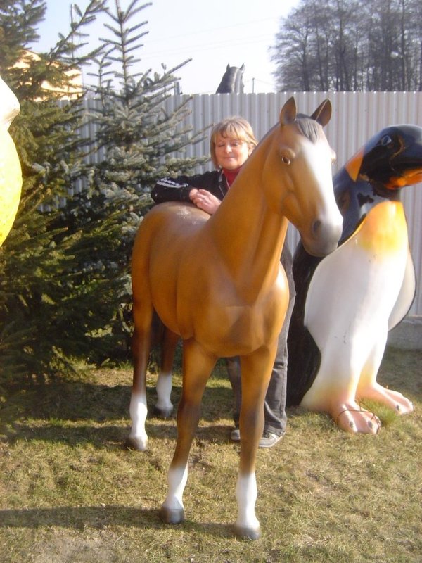 Pferd, "Glenn", 200cm, nicht belastbar, HORSE