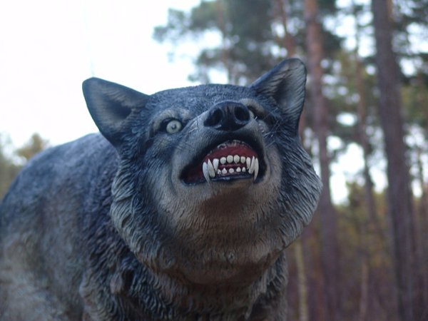 Wolf, "Cardiz", Kunstharz, 120cm