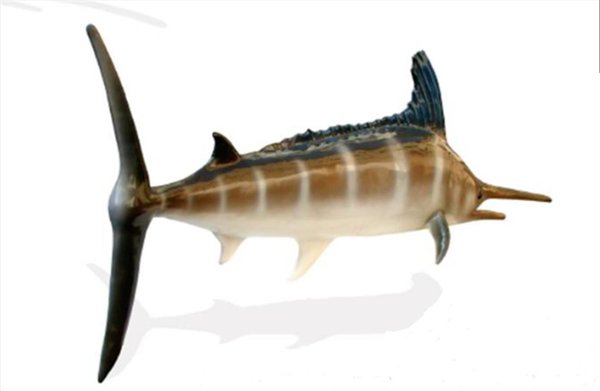 Schwertfisch, 220cm