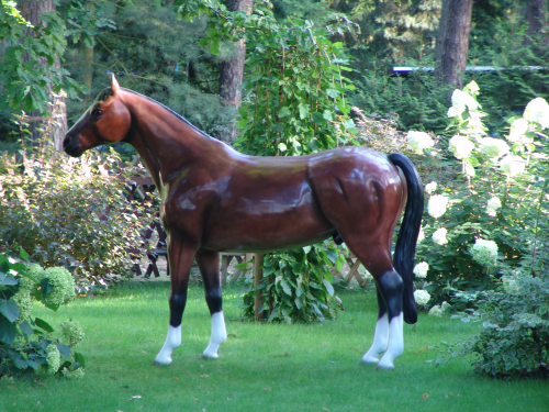 Pferd, "Attila", nicht belastbar, 259cm, HAEIGEMO, HORSE