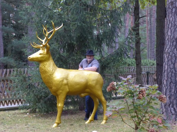 Hirsch "Heinrich" goldfarben lackiert, 195cm