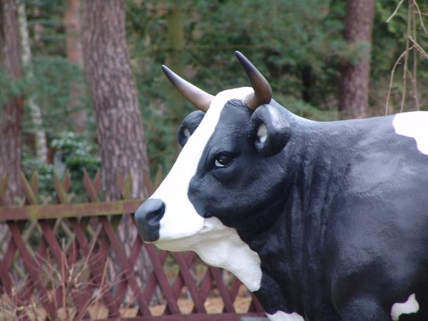 Kuh, "Lisbeth von der Alm", schwarz weiss, 220cm, HAEIGEMO