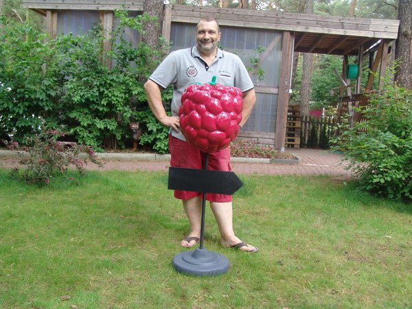 Obst, Himbeere mit Standfuß und Wegweiser, 125cm