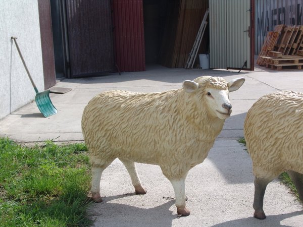 Schaf, "Bonny", stehend, 110cm