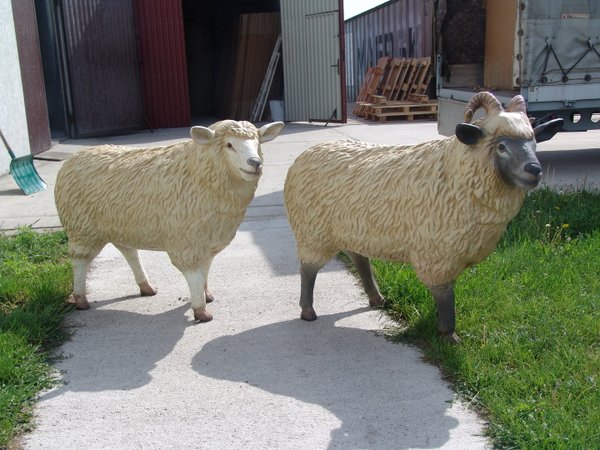 Schaf, "Bonny und Clyde", 110cm
