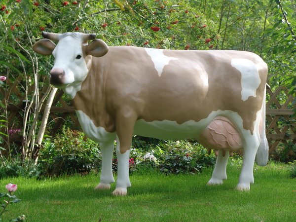 Kuh, "Laura von der Alm", Simmentaler Horn, braun weiss, 220cm, HAEIGEMO