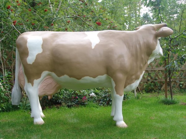 Kuh, "Laura von der Alm", Simmentaler Horn, braun weiss, 220cm, HAEIGEMO