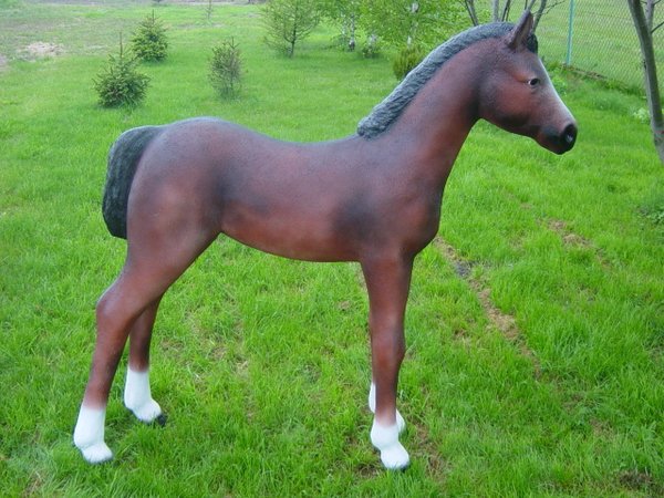 Pferd, Fohlen, "Sandy", nicht belastbar, 153cm