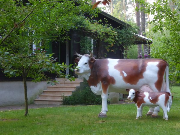 Kuh, "Liesel von der Alm",  mit Kalb, braun weiss, 220cm, HAEIGEMO