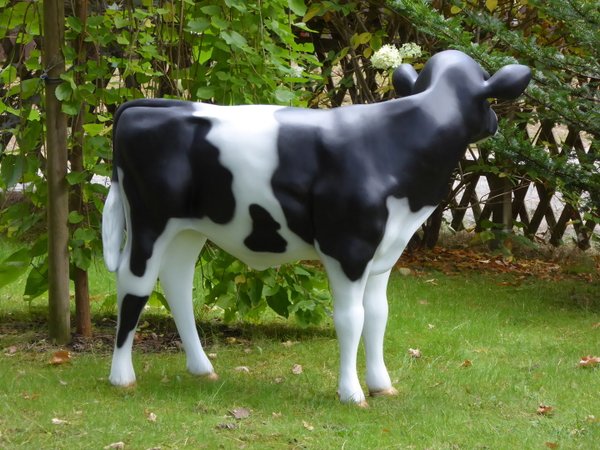 Kalb, Holstein Kälbchen lebensgroß "Fea", Kopf links, schwarz weiß, 122cm, HAEIGEMO