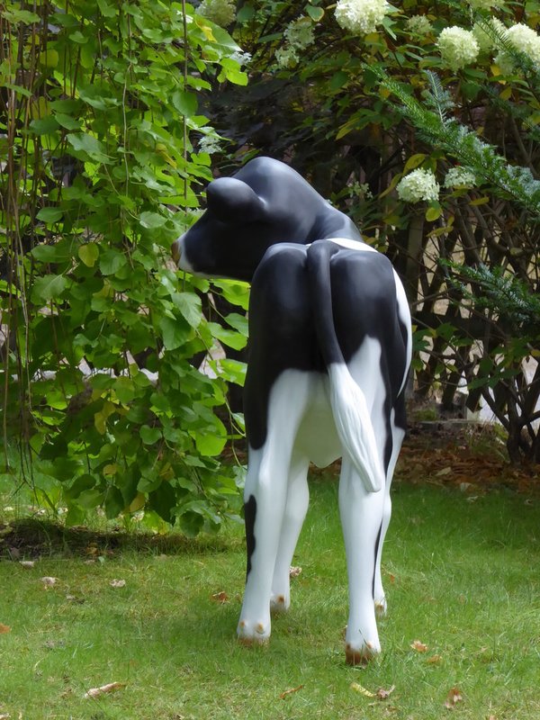 Kalb, Holstein Kälbchen lebensgroß "Fea", Kopf links, schwarz weiß, 122cm, HAEIGEMO