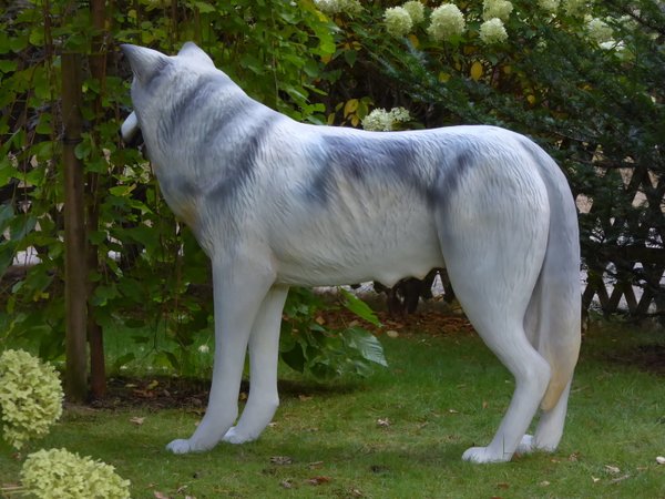 Wölfin, "Armina", grau, 145cm, HAEIGEMO