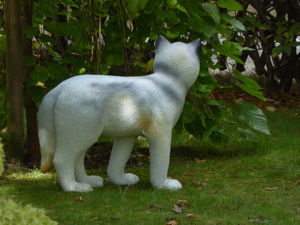 Wolf, Wolfskind, "Amira", stehend, Kunstharz, grau, 46cm, HAEIGEMO