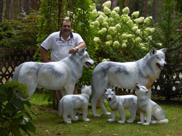 Wolfsfamilie mit 3 Wolfskinder, grau HAEIGEMO