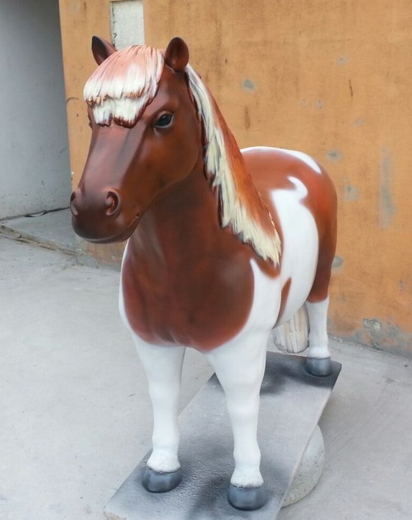 Pony, Shetland, "Domino", 162cm, belastbar bis 100kg , HAEIGEMO, HORSE, PFERD