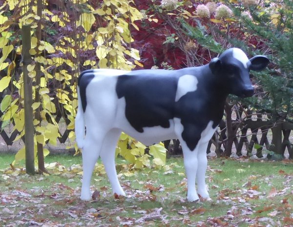 Kalb, Holstein Kälbchen lebensgroß, "Fatima", Kopf rechts, schwarz weiß, 122cm, HAEIGEMO