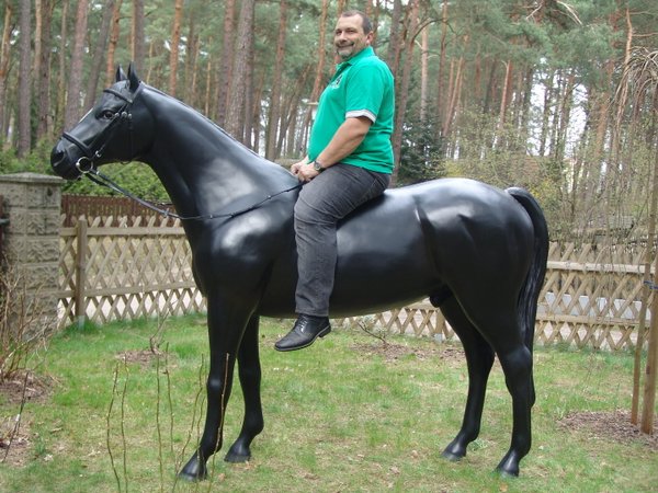 Pferd, Kutschpferd, "Black Dancer", mit Maulspalt, Hufeisen, belastbar, 259cm, HAEIGEMO, HORSE