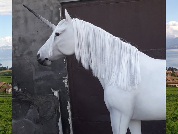 Pferd, Einhorn, goldfarben lackiertem Horn, Maulspalt, belastbar bis 100kg, 259cm, HAEIGEMO