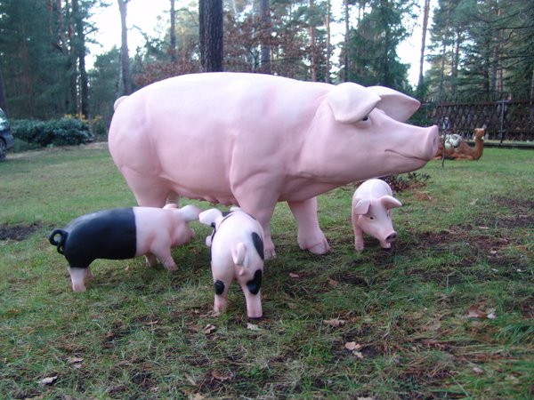 Schwein,  "Rosalie" mit 3 Ferkel, bunt