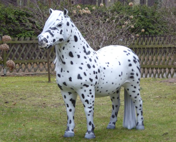 Pony, Shetland,, "Oskar", 162cm, belastbar bis 100kg, Kunsthaare, HAEIGEMO, HORSE, PFERD