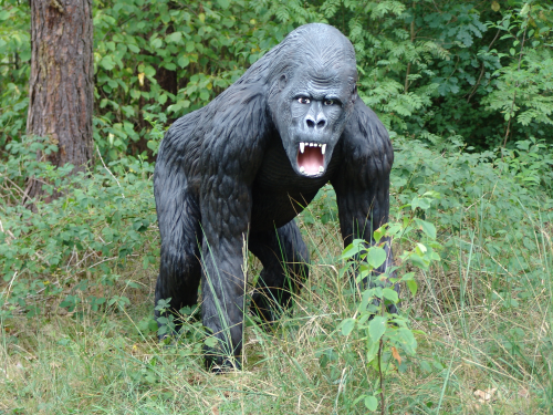 Affe, Gorilla, "Jimmy", 130cm