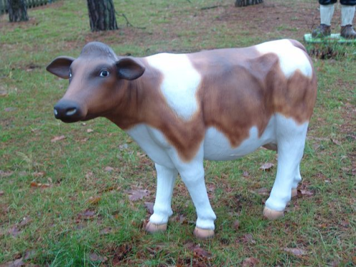 Kuh, "Alina", braun weiss, ohne Horn, 120cm, HAEIGEMO