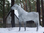 Pferd, "Snowball", Kunsthaare, nicht belastbar, 220cm, HORSE