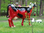 Kuh, Kunstkuh, "Thekenkuh", rot-schwarz, 210cm