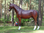 Pferd, "Alexos",  belastbar bis 100kg, 256cm, HORSE